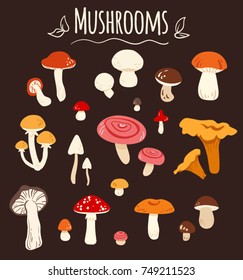 Big mushrooms set. Vector illustration in cartoon style.