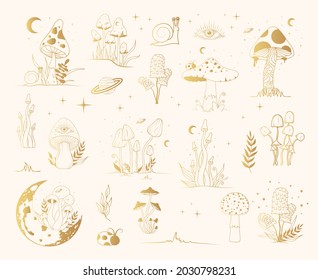 Big mystical collection with golden magic mushrooms, floral elements. Celestial fungi set. Gold witchy tattoo and occult prints with moon and stars.