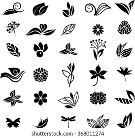 Big natural collection