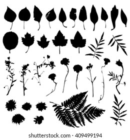 Big natural design elements floral set. Graphic collection with leaves and flowers elements. Spring summer design for invitation, wedding or greeting cards. Black silhouette, white background. Vector