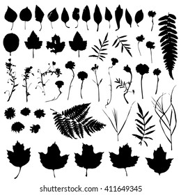 Big natural design elements floral set. Graphic collection with leaves and flowers elements. Spring summer design for invitation, wedding or greeting cards. Black silhouette, white background. Vector