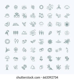 Big natural icon set