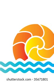 big nautilus shell backdrop