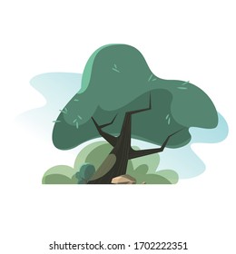 big oak tree on a background of green bush