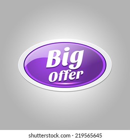 Big Offer Glossy Shiny Elliptical Vector Button Icon Set