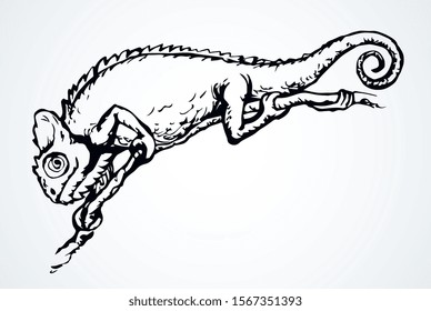 Big old domestic chamaeleon Lacertilia pattern tail on white paper text space. Outline black ink hand drawn zoo claw disguise logo pictogram emblem design. Retro art doodle print style. Close up view