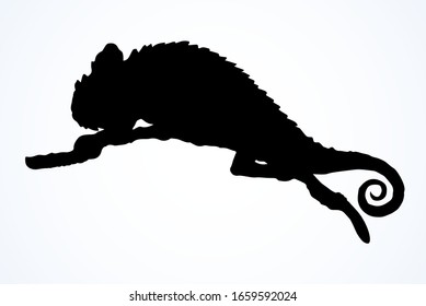 Big old domestic chamaeleon Lacertilia pattern tail. Close up view white paper text space. Dark ink hand drawn zoo claw disguise logotype pictogram emblem design. Retro art contour engrave print style