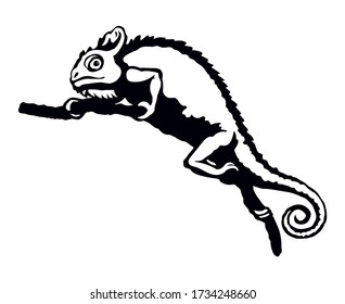 Big old domestic chamaeleon Lacertilia pattern tail on white paper text space. Outline black ink hand drawn zoo claw disguise logo pictogram emblem design. Retro art doodle print style. Close up view