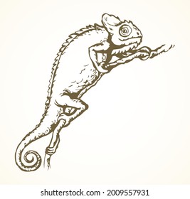 Big old domestic chamaeleon Lacertilia pattern tail on white paper text space. Outline black ink hand drawn zoo claw disguise logo pictogram emblem design. Retro art doodle print style. Close up view