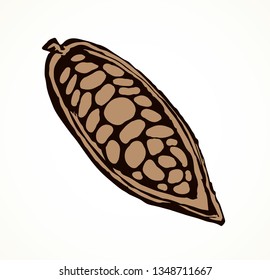Big old dry theobroma set on white backdrop. Outline black ink hand drawn menu object logo pictogram emblem design sketchy in art antique doodle etched style pen on paper space for text. Closeup view