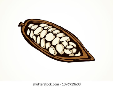 Big old dry theobroma set on white backdrop. Outline black ink hand drawn menu object logo pictogram emblem design sketchy in art antique doodle etched style pen on paper space for text. Closeup view