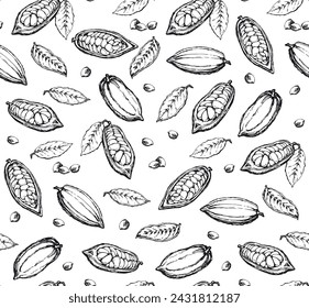 Big old dry theobroma set on white fond. Outline black ink hand drawn menu object logo sign icon design sketchy in art antique doodle etched style pen  on wrapping paper. Closeup view