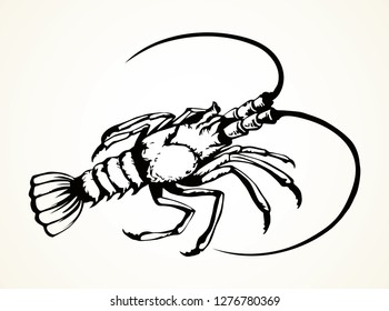 Big old grey anthropod panulirus mudbug set isolated on white background. Freehand bright color hand drawn picture logo sketchy in art doodle retro style. Closeup view with space for text