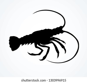 Big old grey anthropod panulirus mudbug set isolated on white background. Dark black color ink hand drawn logotype emblem pictogram in art contour print retro style on space for text