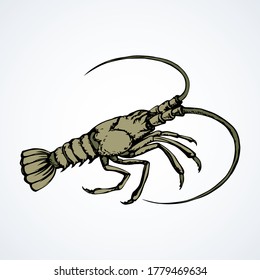 Big old grey anthropod panulirus mudbug picture set on light white sand. Freehand black color ink pen hand drawn logo pictogram emblem design in art doodle retro style. Closeup view paper text space