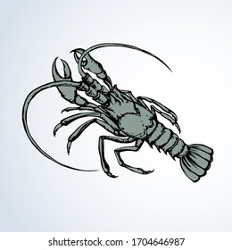 Big old grey healthy anthropod panulirus mudbug set on white background. Dark black color hand drawn pictogram logotype emblem insignia. Art scribble retro engrave print style. Closeup view text space