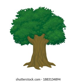 Big old healthy tree with lush green foliage isolated on a white background. Vector cartoon style illustration.