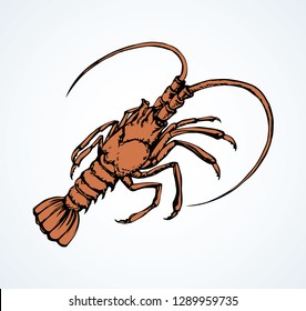 Big old red anthropod panulirus mudbug set isolated on white background. Bright orange color hand drawn logo pictogram sketchy in art cartoon retro style. Closeup view with space for text