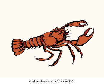 Big old red anthropod panulirus mudbug set on white sand background. Bright orange color hand drawn logo pictogram emblem design sketchy in art cartoon retro style. Closeup view with space for text