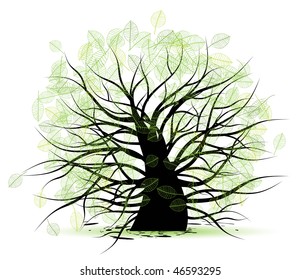 Big old tree, green leaf