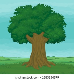 Gran árbol viejo con vegetación exuberante en un prado verde. Campos y un cielo azul en el fondo. Verano, paisaje primaveral. Ilustración vectorial.