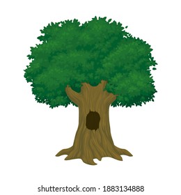 Big old tree with lush green foliage and a hollow isolated on a white background. Vector illustration.