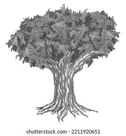 Big old tree with powerful branches with leaves. Vector graphic linear drawing isolated on a white background.