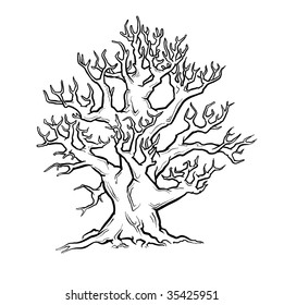 Big old tree. Vector.