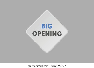 Big Opening text Button. Big Opening Sign Icon Label Sticker Web Buttons