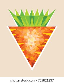 Big Orange Carrot wit Tops in Polygonal Style