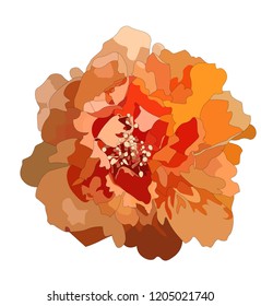 Big orange flower