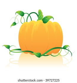 big orange pumpkin
