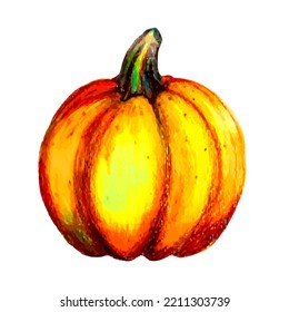Big orange pumpkin. Autumn theme. Separate element. Vector illustration.