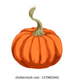 Big orange pumpkin isolated on white background. Vector autumn collection. Garden vegetables harvest. Halloween theme