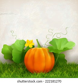 Big orange pumpkin,  leaves, grass against the background of a plaster wall