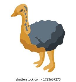 Big ostrich icon. Isometric of big ostrich vector icon for web design isolated on white background