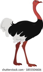 Big Ostrich, illustration, vector on white background