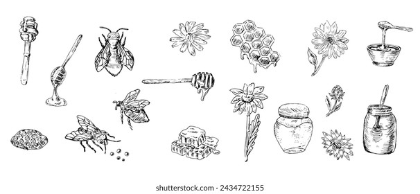 Big outline set of honey design elements bee and jar. Vector illustration can used for wrapping paper, textile, food label, print for organic honey products. 