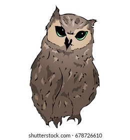 Big owl in cartoon style. Vector illustration