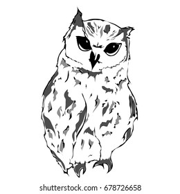 Big owl. Sketch vector illustration