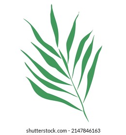 big palm branch vector single illustration