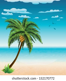 Big palm tree on summer beach background.