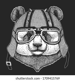 Gran panda, retrato de oso de bambú. Casco antiguo de cuero para motocicletas. Cara de animal lindo. Cabeza del oso.