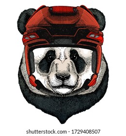 Gran panda, retrato de oso de bambú. Cara de un animal lindo. Cabeza del oso.