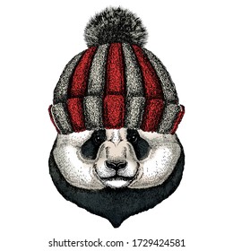 Big panda, bamboo bear portrait. Face of cute animal. Bear head. Knitted wool winter hat.