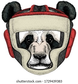 Big panda, bamboo bear portrait. Boxing helmet.