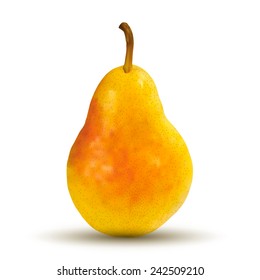 Big pear on white background. Created using gradient meshes.