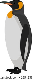 Pingüino grande, ilustración, vector sobre fondo blanco