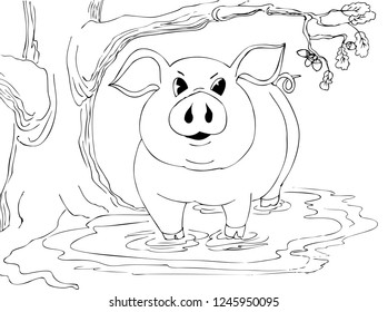 The big pig is standing in the mud near the oak. Hand drawn illustrations for coloring