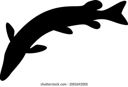 Big pike swims and turns. Vector image.  